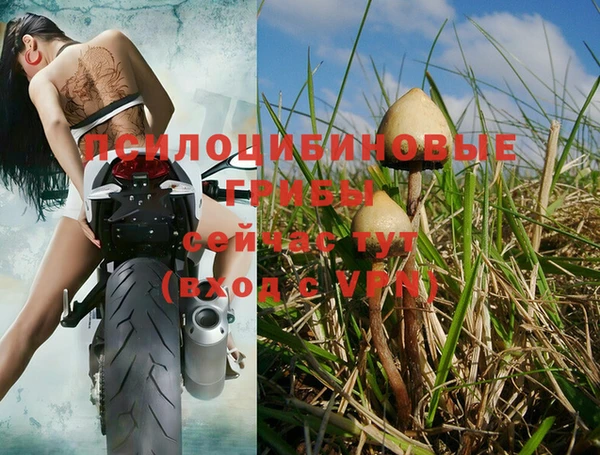 MESCALINE Сосновый Бор