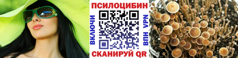 Псилоцибиновые грибы MAGIC MUSHROOMS  Купить где  Черемхово 